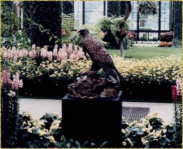 Presidential Eagle at Longwood Gardens