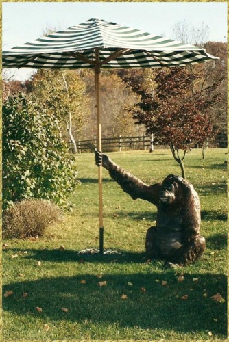 Orangutan With Umbrella